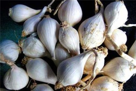 Khách Sạn Phố Cổ Bình Thạnh