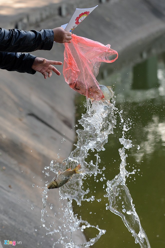 Khách Sạn Phố Cổ Bình Thạnh