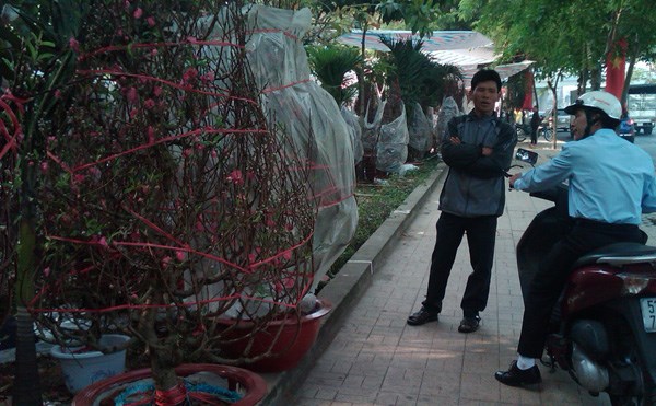 Khách Sạn Phố Cổ Bình Thạnh