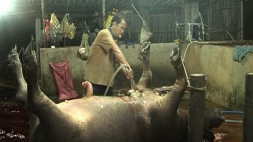 Khách Sạn Phố Cổ Bình Thạnh