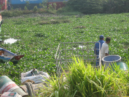 Khách Sạn Phố Cổ Bình Thạnh