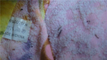 Khách Sạn Phố Cổ Bình Thạnh Khách Sạn Phố Cổ Bình Thạnh