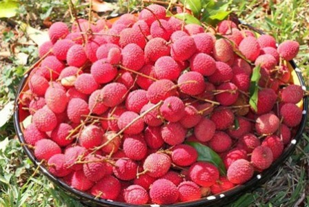 Khách Sạn Phố Cổ Bình Thạnh Khách Sạn Phố Cổ Bình Thạnh