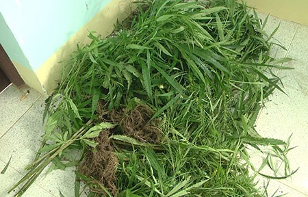 Khách Sạn Phố Cổ Bình Thạnh