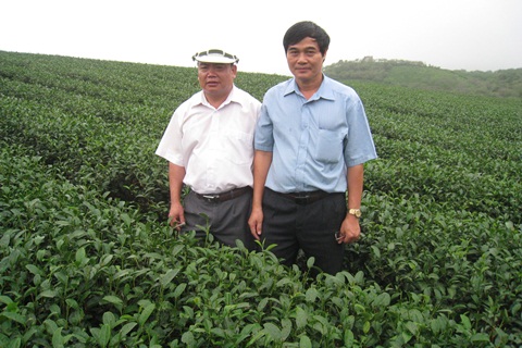 Khách Sạn Phố Cổ Bình Thạnh