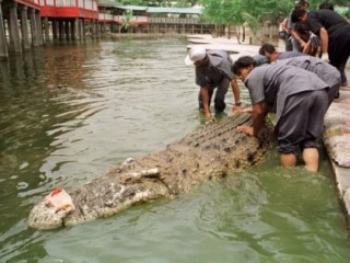 Khách Sạn Phố Cổ Bình Thạnh