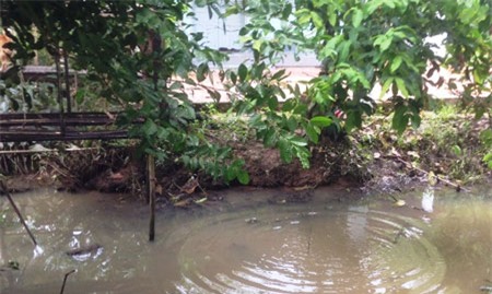 Khách Sạn Phố Cổ Bình Thạnh