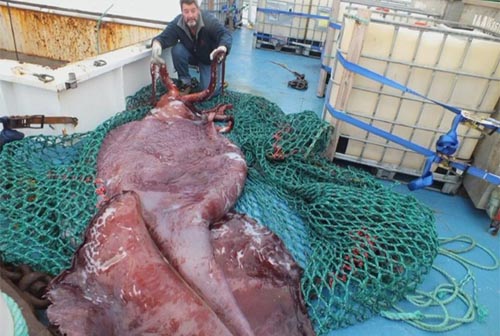 Khách Sạn Phố Cổ Bình Thạnh