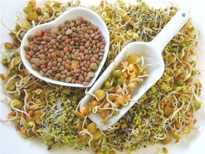 Khách Sạn Phố Cổ Bình Thạnh