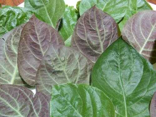 Khách Sạn Phố Cổ Bình Thạnh