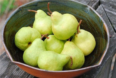 Khách Sạn Phố Cổ Bình Thạnh