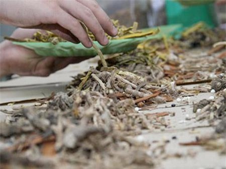 Khách Sạn Phố Cổ Bình Thạnh