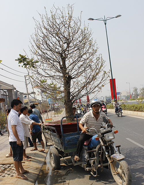 Khách Sạn Phố Cổ Bình Thạnh